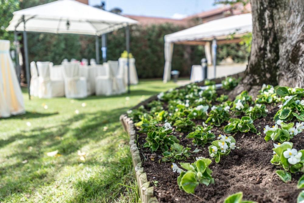 Hotel Il Vigneto Gattinara Bagian luar foto